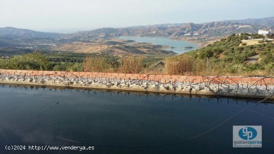 Finca en venta en Periana (Málaga)