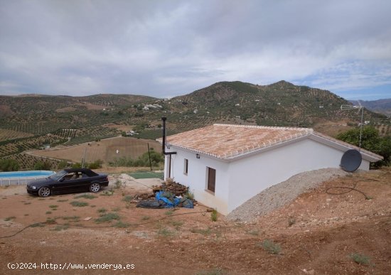  Finca en venta en Periana (Málaga) 