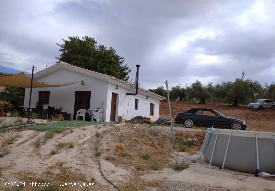 Finca en venta en Periana (Málaga)