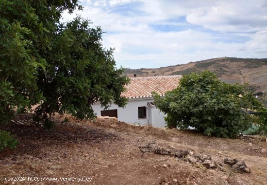 Finca en venta en Periana (Málaga)