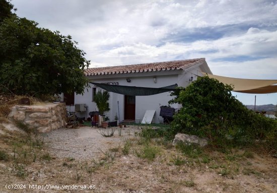 Finca en venta en Periana (Málaga)