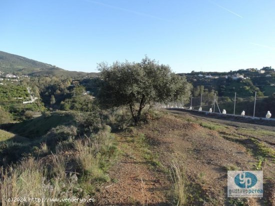 Parcela en venta en Alhaurín el Grande (Málaga)