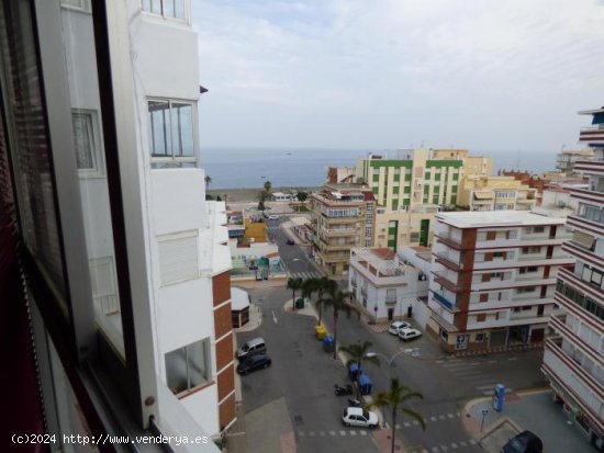  Piso en alquiler en Torre del Mar (Málaga) 