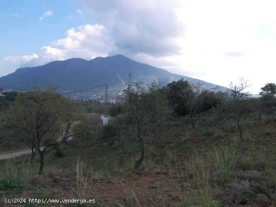 Finca en venta en Coín (Málaga)