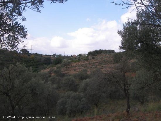 Finca en venta en Coín (Málaga)