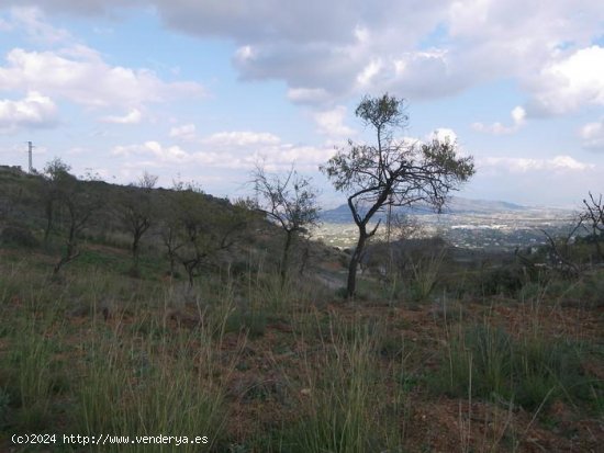 Finca en venta en Coín (Málaga)