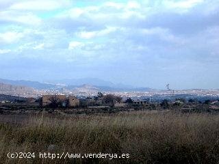 Parcela en venta en La Romana (Alicante)