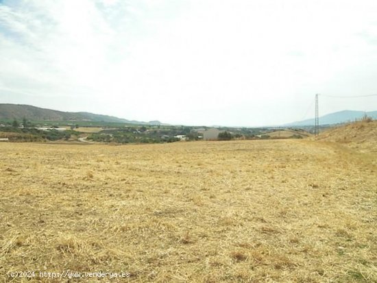  Finca en venta en Alhaurín de la Torre (Málaga) 