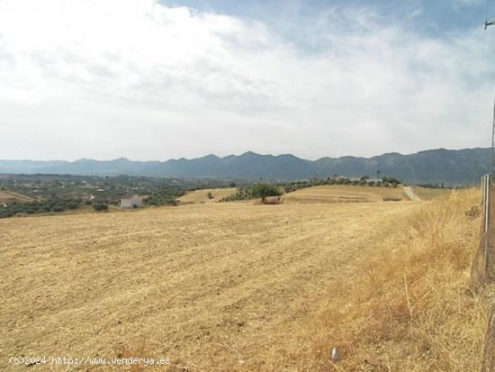 Finca en venta en Alhaurín de la Torre (Málaga)