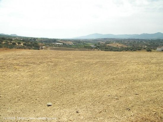 Finca en venta en Alhaurín de la Torre (Málaga)