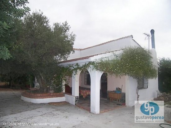  Finca en venta en Alhaurín de la Torre (Málaga) 