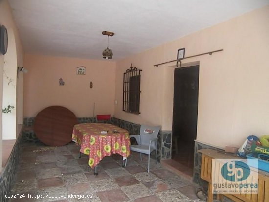 Finca en venta en Alhaurín de la Torre (Málaga)