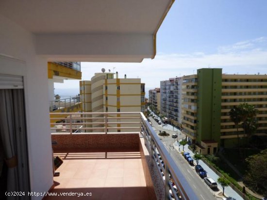 Apartamento en alquiler en Torre del Mar (Málaga)