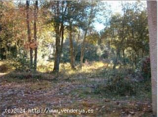  Finca en venta en Sant Aniol de Finestres (Girona) 