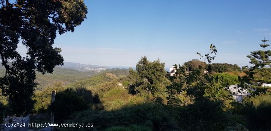 Parcela en venta en Calella (Barcelona)