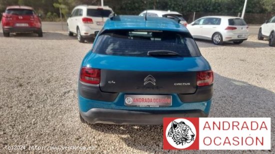 CITROEN C4 Cactus en venta en XÃ bia (Alicante) - XÃ bia