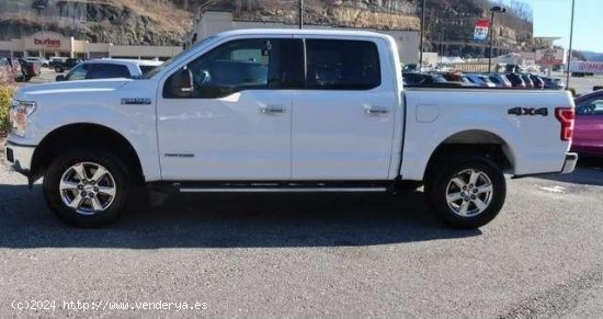 FORD F 150 en venta en BanastÃ¡s (Huesca) - BanastÃ¡s