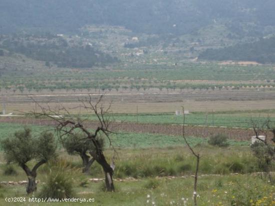 SE VENDE PARCELA EN HONDON DE LAS NIEVES - ALICANTE