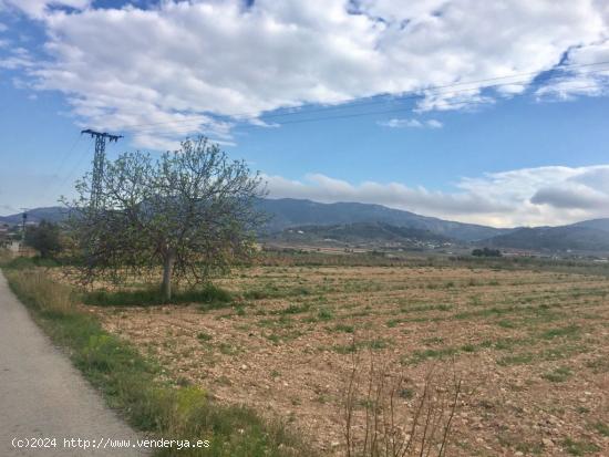 SE VENDE PARCELA EN HONDÓN DE LAS NIEVES - ALICANTE