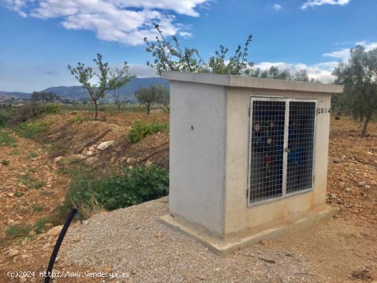 SE VENDE PARCELA EN HONDÓN DE LAS NIEVES - ALICANTE