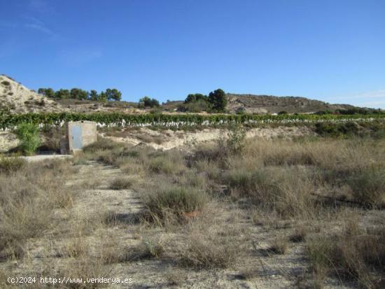 TERRENO LA ROMANA - ALICANTE