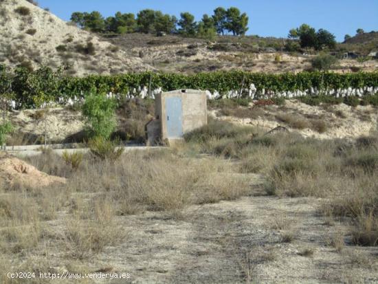 TERRENO LA ROMANA - ALICANTE