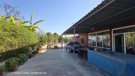 Se Vende en Elche pedanias - ALICANTE