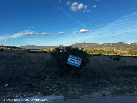 Parcela de 30.000 metros detras del hospital de Elda - ALICANTE