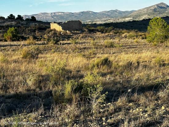 Parcela de 30.000 metros detras del hospital de Elda - ALICANTE