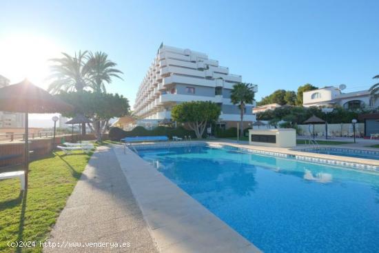  Estudio en Calpe zona Playa De Levante - ALICANTE 