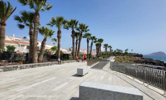  San Miguel. golf sur. piso 1 habitacion con balcon reformado. - SANTA CRUZ DE TENERIFE 