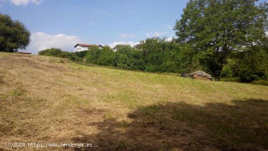 PARCELA DE TERRENO CON PROYECTO - CANTABRIA