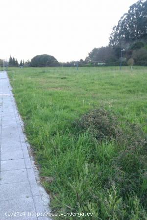 Terreno urbano para pisos en Argoños. - CANTABRIA