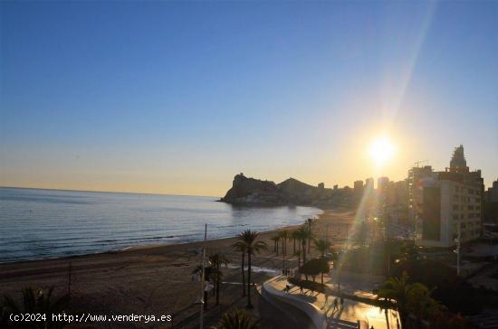  Piso reformado en primera linea de poniente Benidorm! www.euroloix.com - ALICANTE 