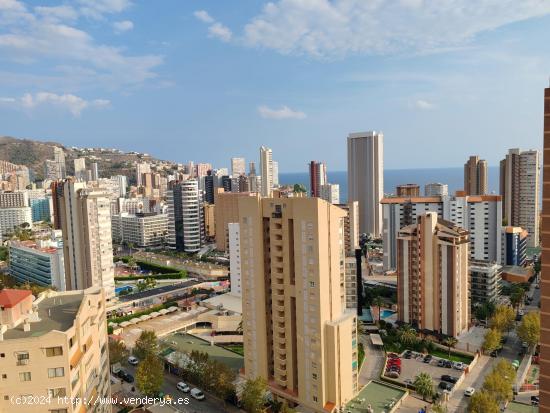 FANTASTICO APARTAMENTO DE UN DORMITORIO , REFORMADO CON VISTAS AL MAR.. PLAYA LEVANTE - ALICANTE