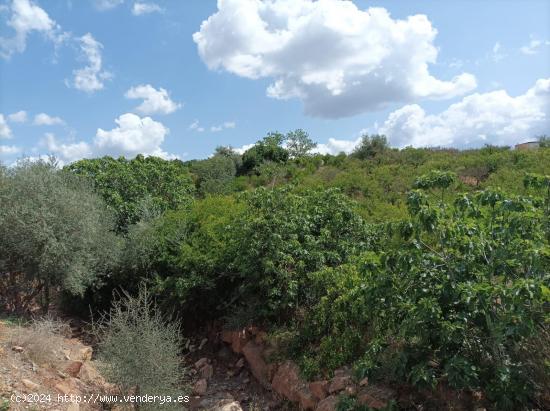 Se vende finca Rústica/agrícola en zona Cortijo Don Carlos, Campanillas - MALAGA