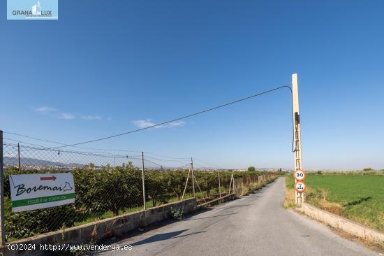 ¡IMPRESIONANTE FINCA RÚSTICA EN LA ZUBIA! - GRANADA