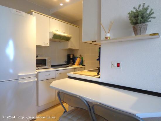  Apartamento en alquiler por años - CADIZ 