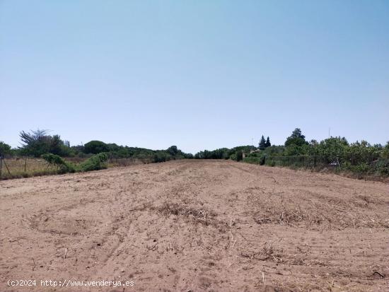 TERRENO RÚSTICO 5000 M2 - CADIZ