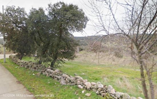 Urbis te ofrece un estupenda parcela en venta en Encina de San Silvestre, Salamanca. - SALAMANCA