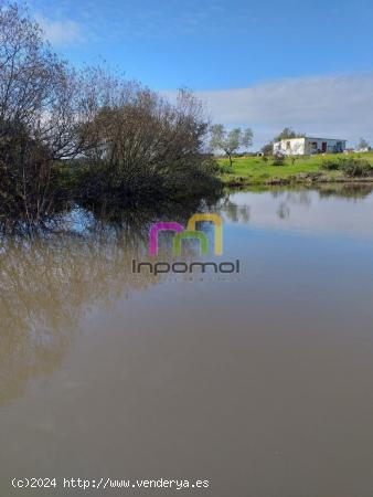 MAGNIFICA PARCELA EN LA ZONA DEL MANANTÍO!! - BADAJOZ