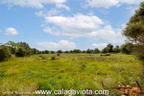 Finca rustica en esquina de 14.000 metros - BALEARES