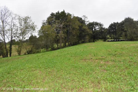 Terreno  Iruz Santiurde de Toranzo - CANTABRIA