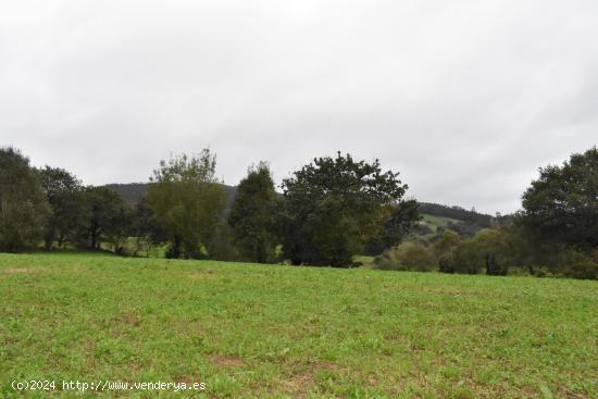 Terreno  Iruz Santiurde de Toranzo - CANTABRIA