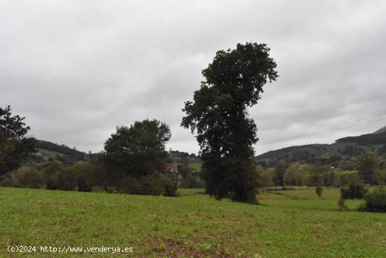 Terreno  Iruz Santiurde de Toranzo - CANTABRIA