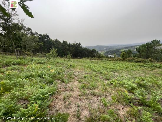 Terreno amplio de 65.000 m2 es en su gran mayoria monte. - VIZCAYA