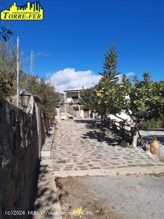 PRECIOSA FINCA DE MÁS DE 40 HA. EN LA ALPUJARRA (GRANADA) - GRANADA