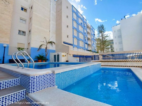 Apartamento en venta en Torrevieja (Alicante)