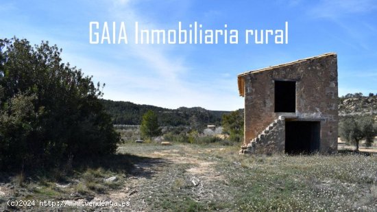 Finca para invertir en Maella (Zaragoza)