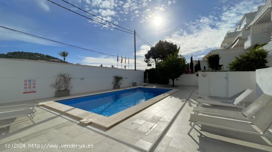 Apartamento en alquiler en Andratx (Baleares)